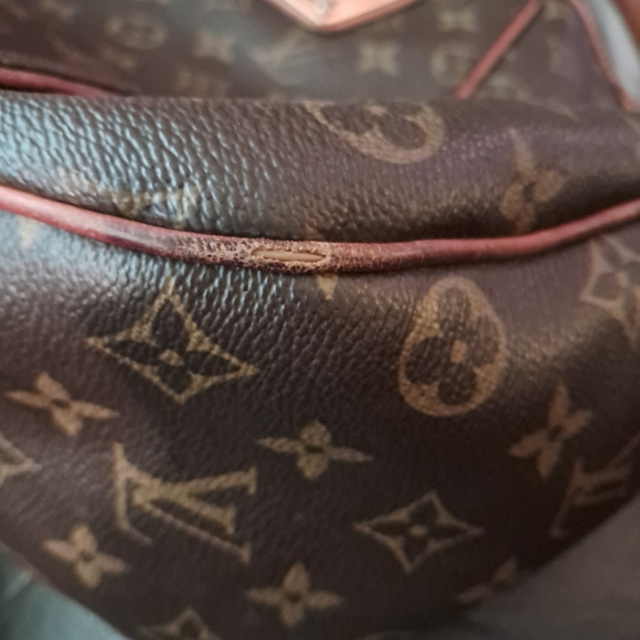 Louis Vuitton purse - Picture 7 of 7